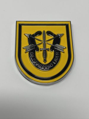 1st Group Flash With DUI Car Badge