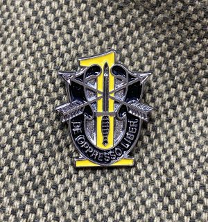 1st Group Crest Pin ( modern logo) with "1"