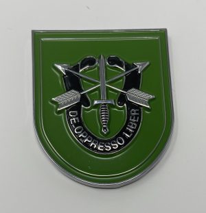 10th Group Flash Pin