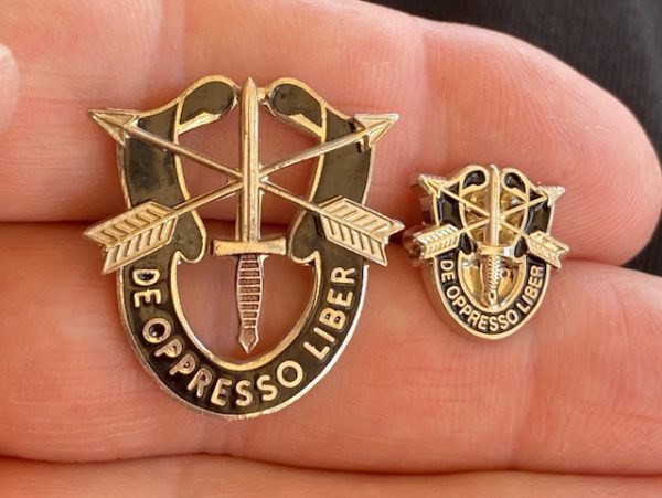 SF Crest (DUI) Pin - Image 5