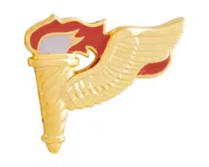 Pathfinder Pin miniature