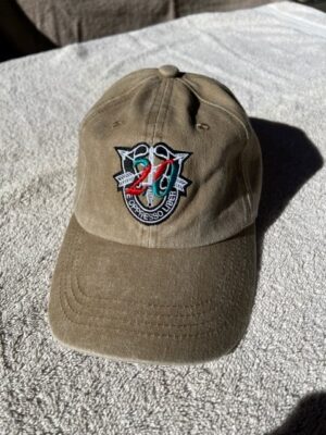 20th SFG (A) SF Crest with "20" Low Pro Baseball Softstyle Cap- Khaki