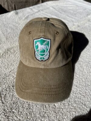 10th SFG (A) Trojan Horse Low Pro Baseball Softstyle Cap- Khaki