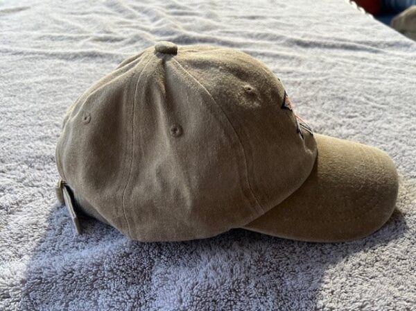5th SFG "Legion" Logo Low Pro Baseball Softstyle Khaki Hat - Image 3